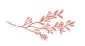 The Wedding Website of Luke Aaron Freeman and Addison Joan Muller