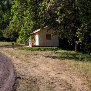 Lauren and Brad - Live Oak Cabin
