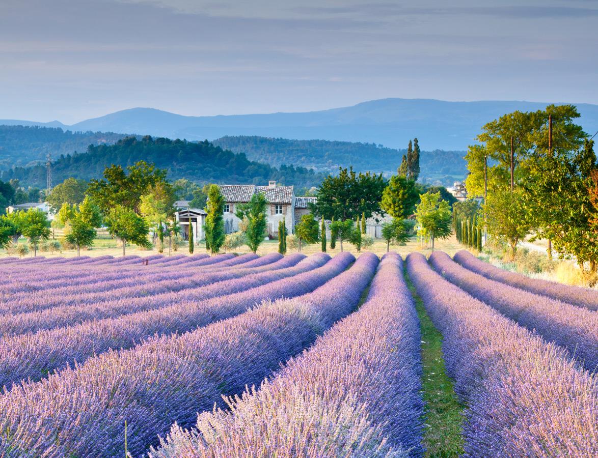 The Wedding Website of Jen Connell and Shane Keyes