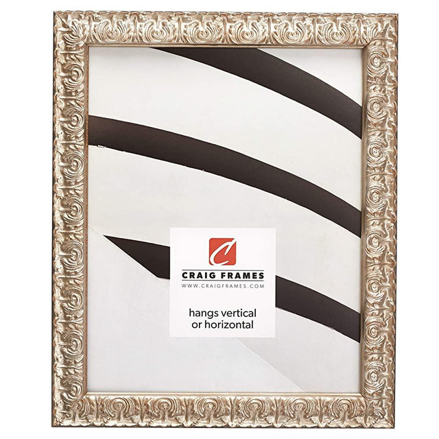Craig Frames Versailles Picture Frame, 12 x 16 Inch, Silver