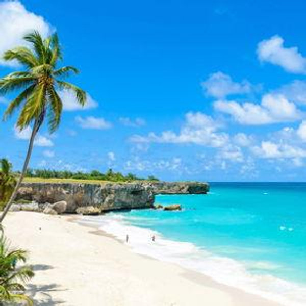 Honeymoon Meals & Activities Fund