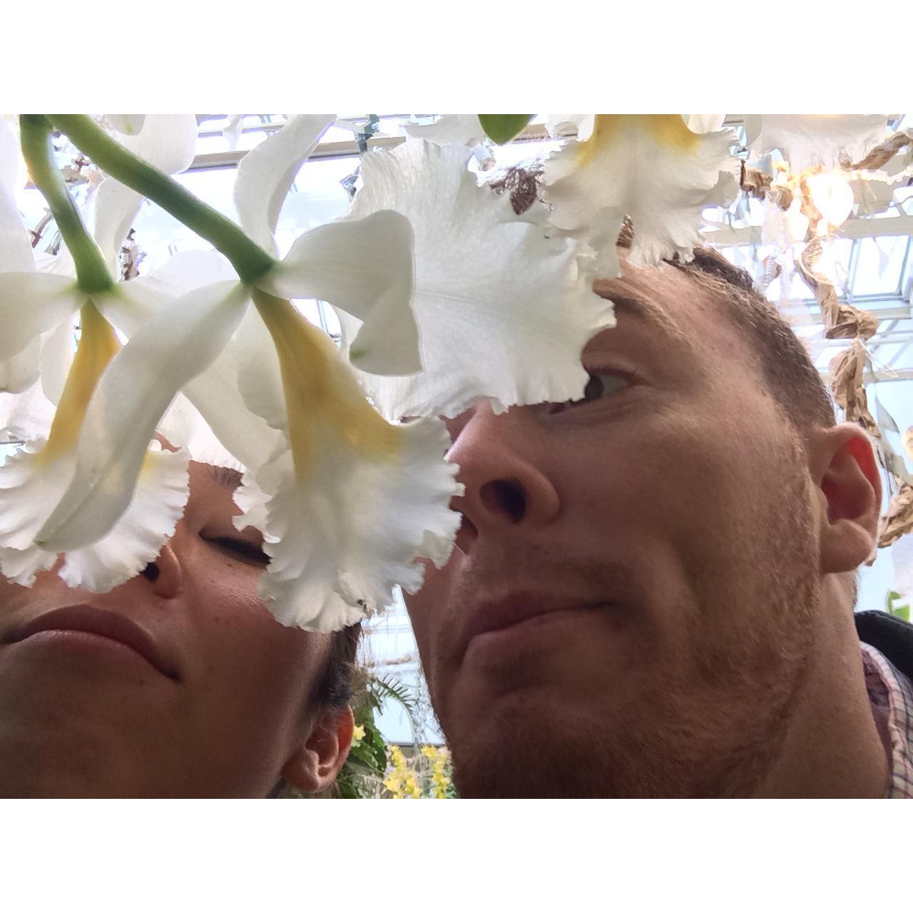 Frank's first visit to St. Louis with Maretie. She took him to the Botanical Gardens!