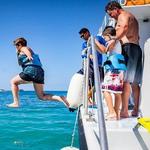 Culebra Day Trip by Catamaran from Fajardo - Private Boat Tour with Lunch Included