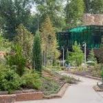 Gathering Place