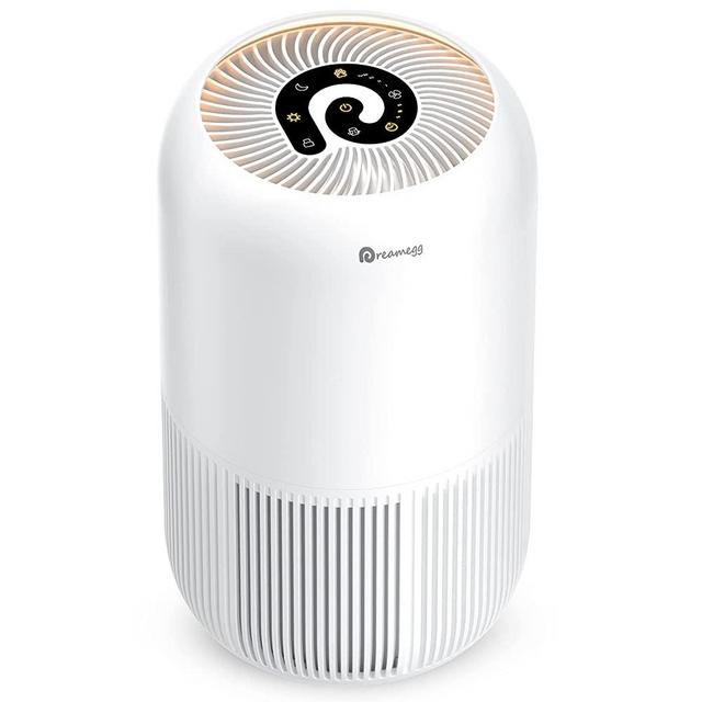 HEPA Air Purifier - Dreamegg Air Purifier for Home Allergies and Pets Hair, Super Quiet Air Cleaner True HEPA Filter with Pet Mode, Removes 99.97% Odor Allergen for Smoker Dust Mold Pollen, 269 Sq. Ft