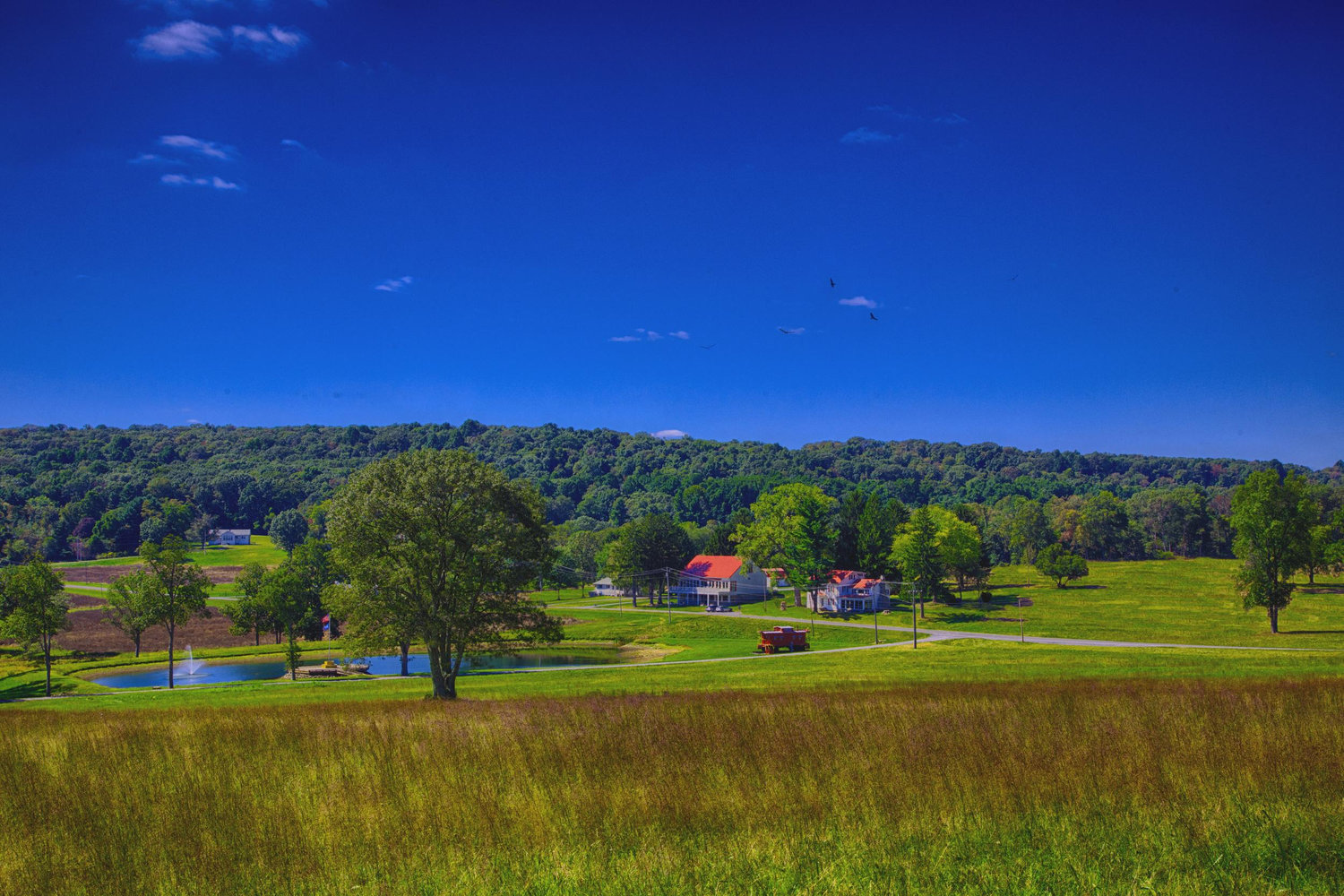The Wedding Website of Joseph Voigt and Jillian McKellar