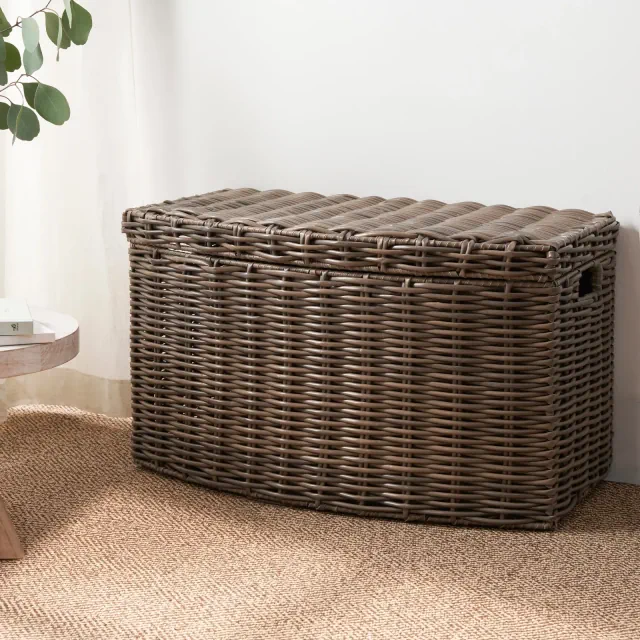 Gulches Rectangular Curve Resin Woven Wicker Trunk with Handles，Chocolate Brown，For Clothes, Towels, Toys, Magazine Storage and Home Decoration