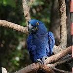 Nashville Zoo at Grassmere