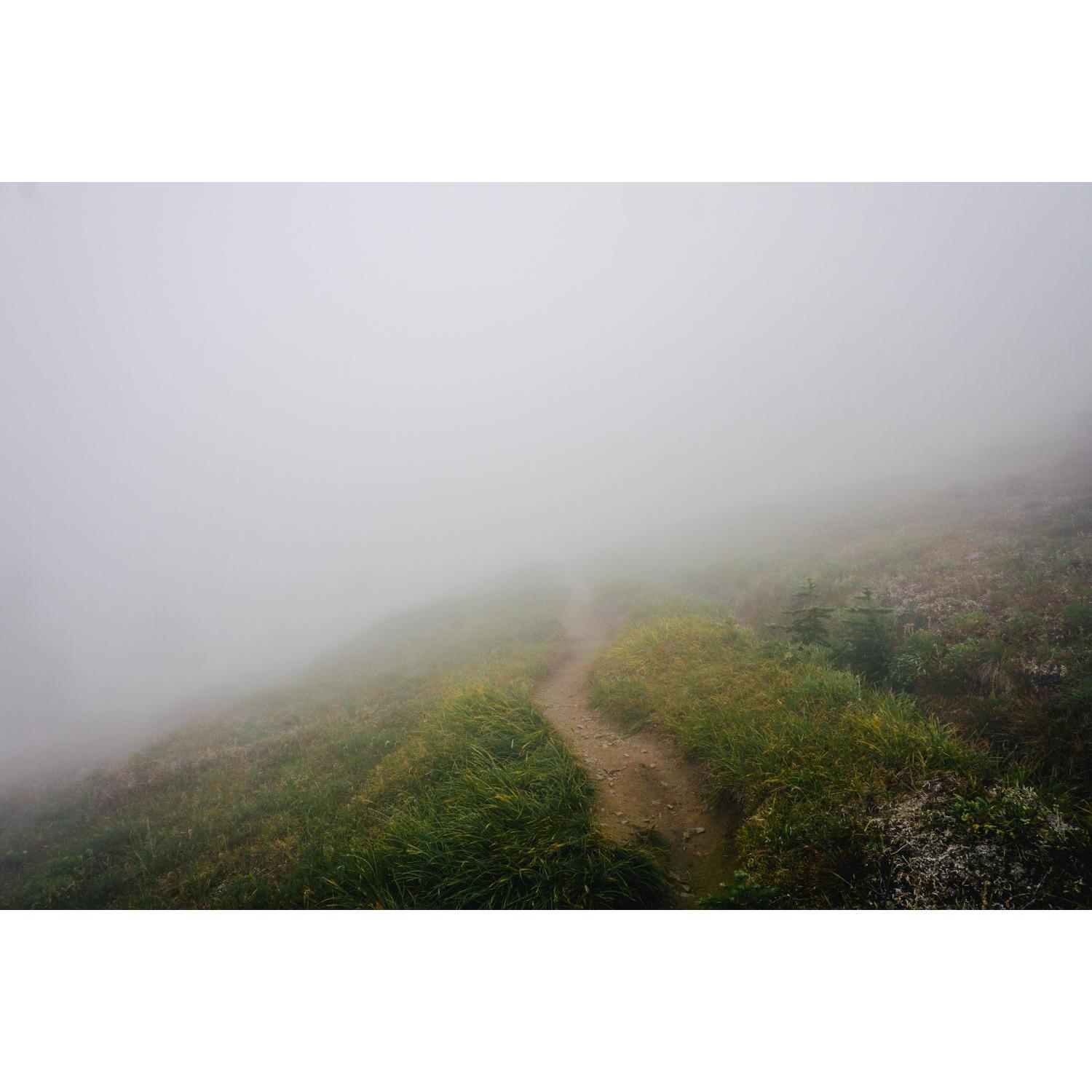 A hike through it all.