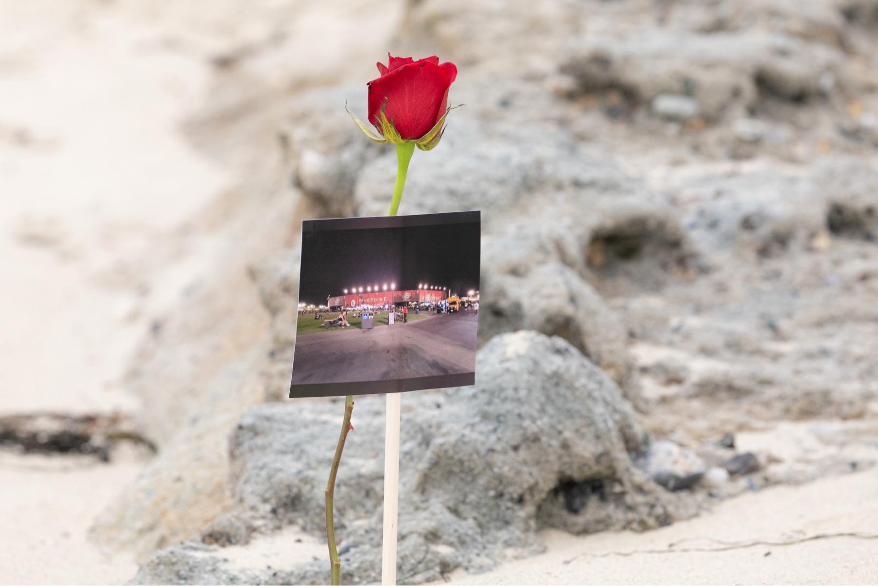 This is where we met 🥰 
The Five Point Amphitheater in Irvine 🤠