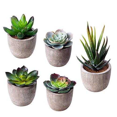 MoonLa Artificial Succulent Plants, Assorted Decorative Faux Succulent Potted Fake Cactus Cacti Plants with Gray Pots, Set of 5