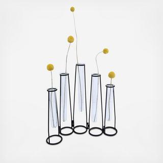 6-Piece Test Tube Vase Set
