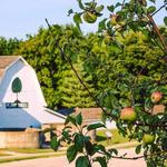 Arbor Day Farm