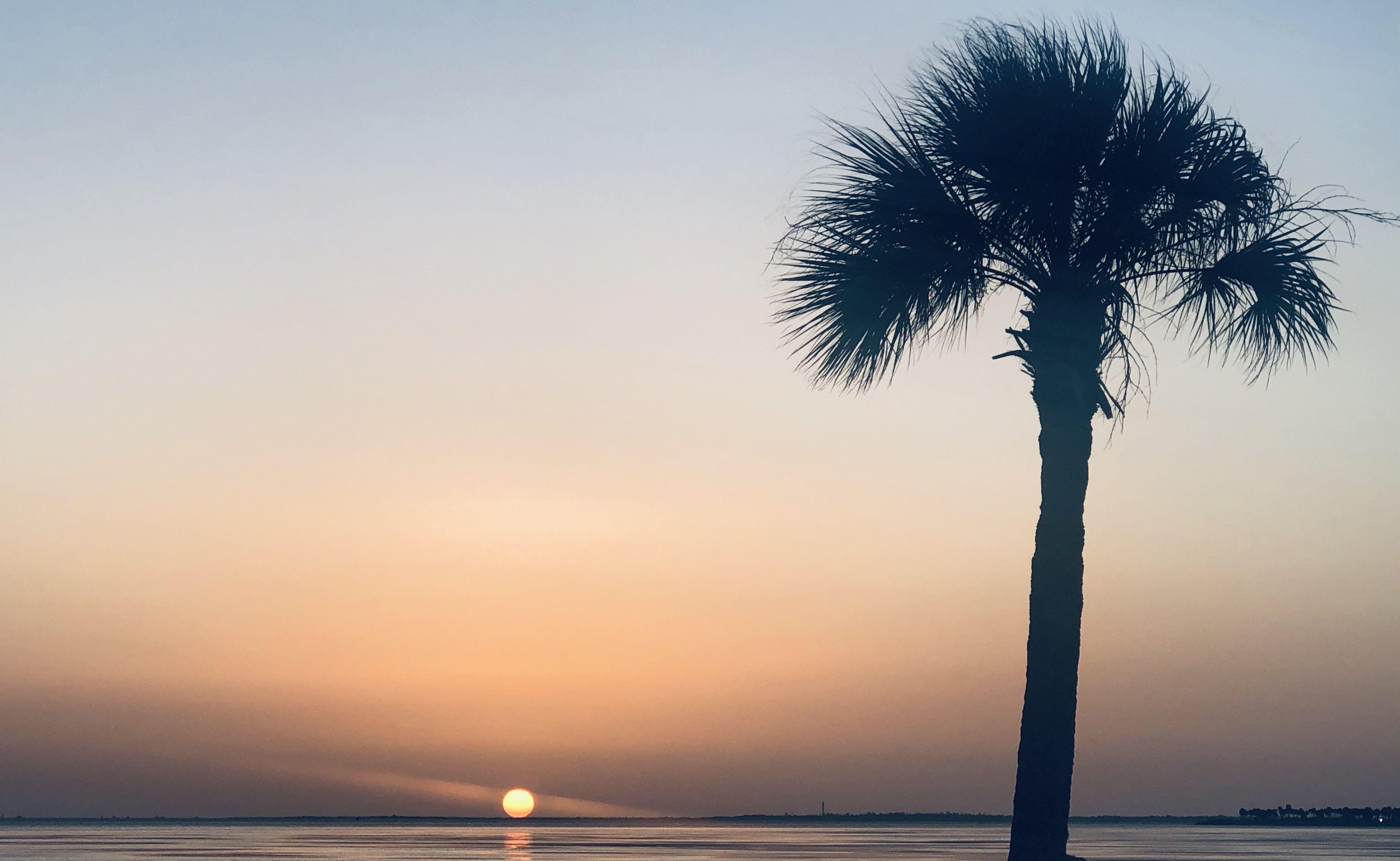 The Wedding Website of Clare Lopez and Chad Stoianoff