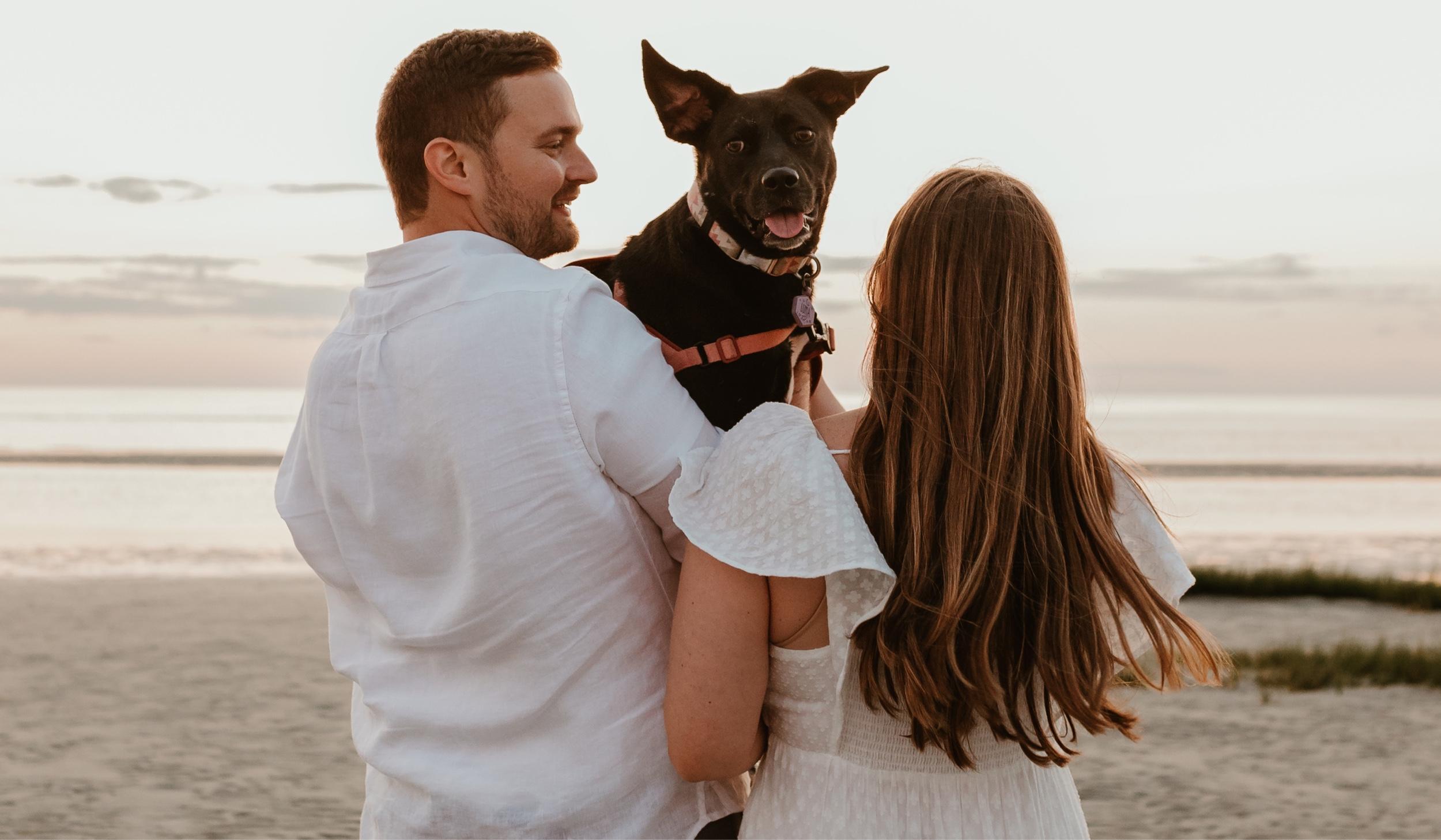 The Wedding Website of Sarah Donovan and Nicholas Staszewski