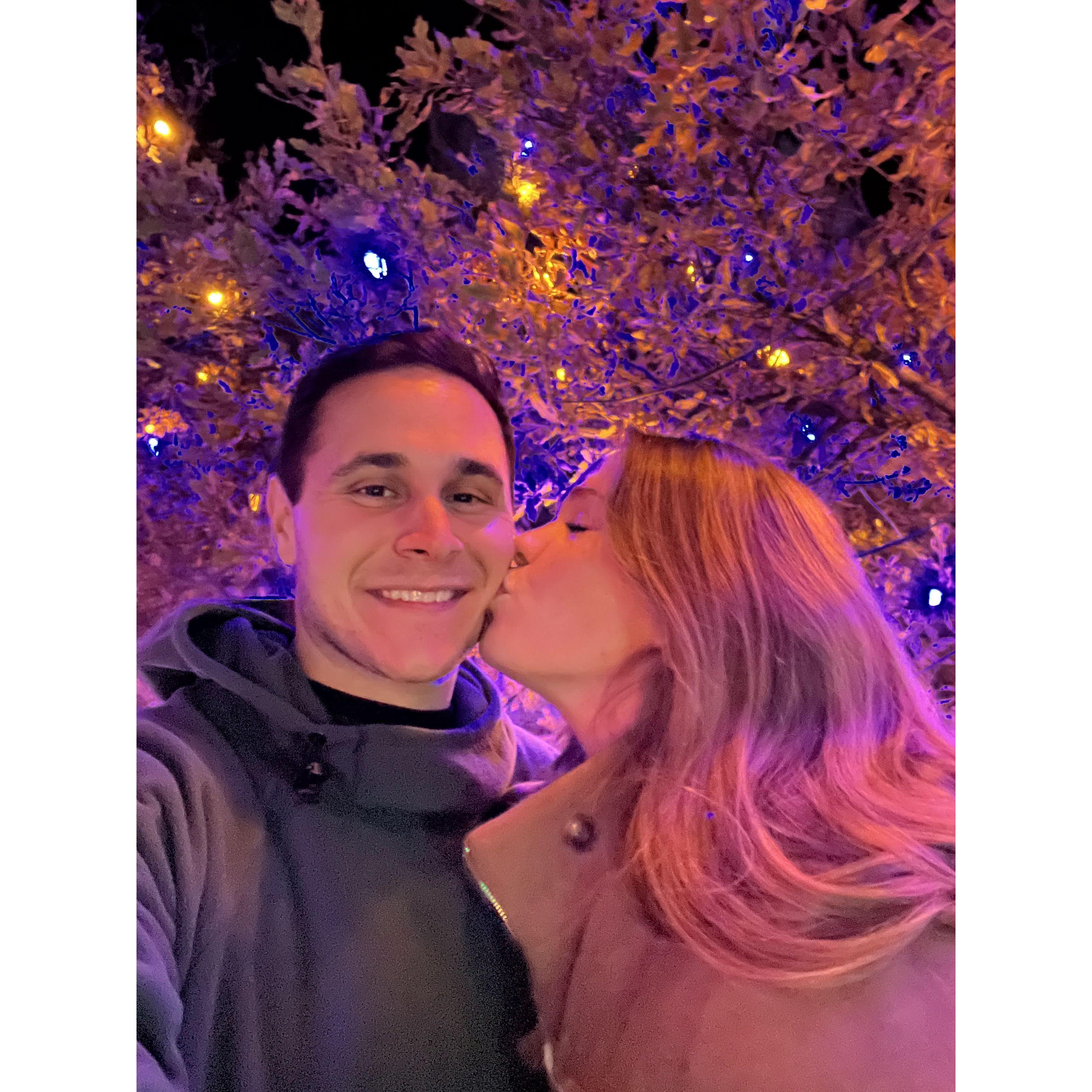 12/7/23 | Christmas lights at the Denver Botanical Garden