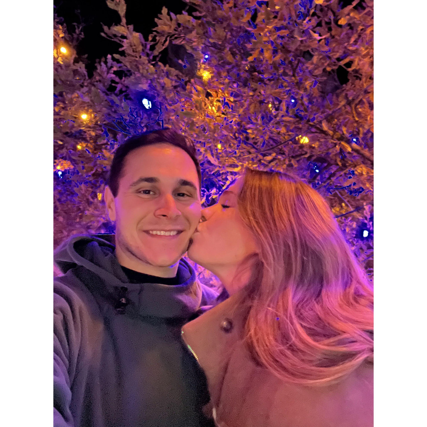 12/7/23 | Christmas lights at the Denver Botanical Garden