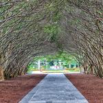 The Dallas Arboretum and Botanical Garden