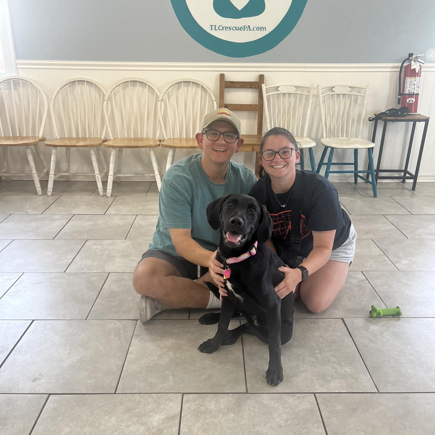 Adopting Molly- 2024