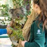 Cleland Wildlife Park