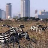 Nairobi National Park