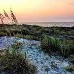 Kiawah - Sullivan's Island - Folly Beach - Edisto Island - Isle of Palms