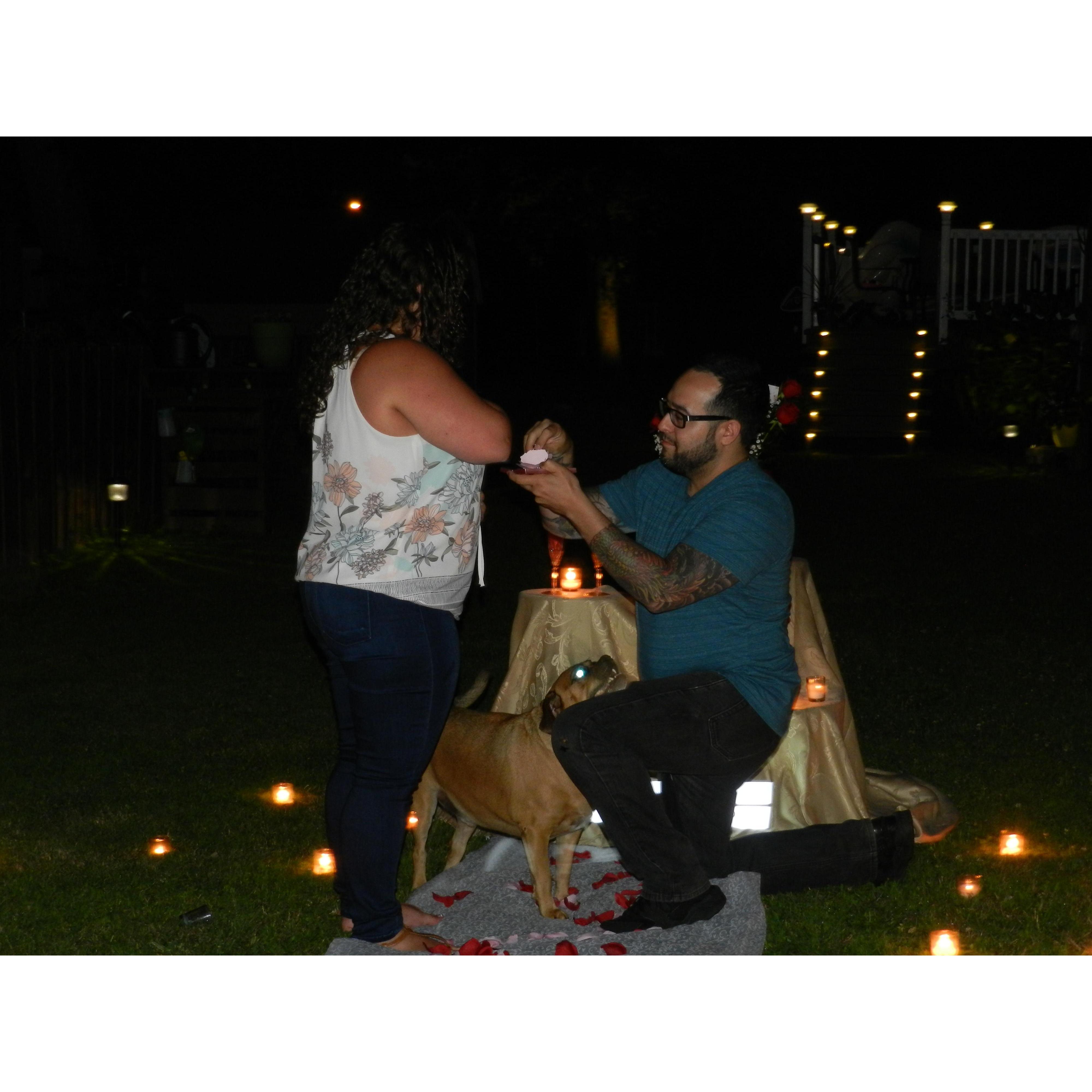 The proposal