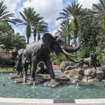 Audubon Zoo