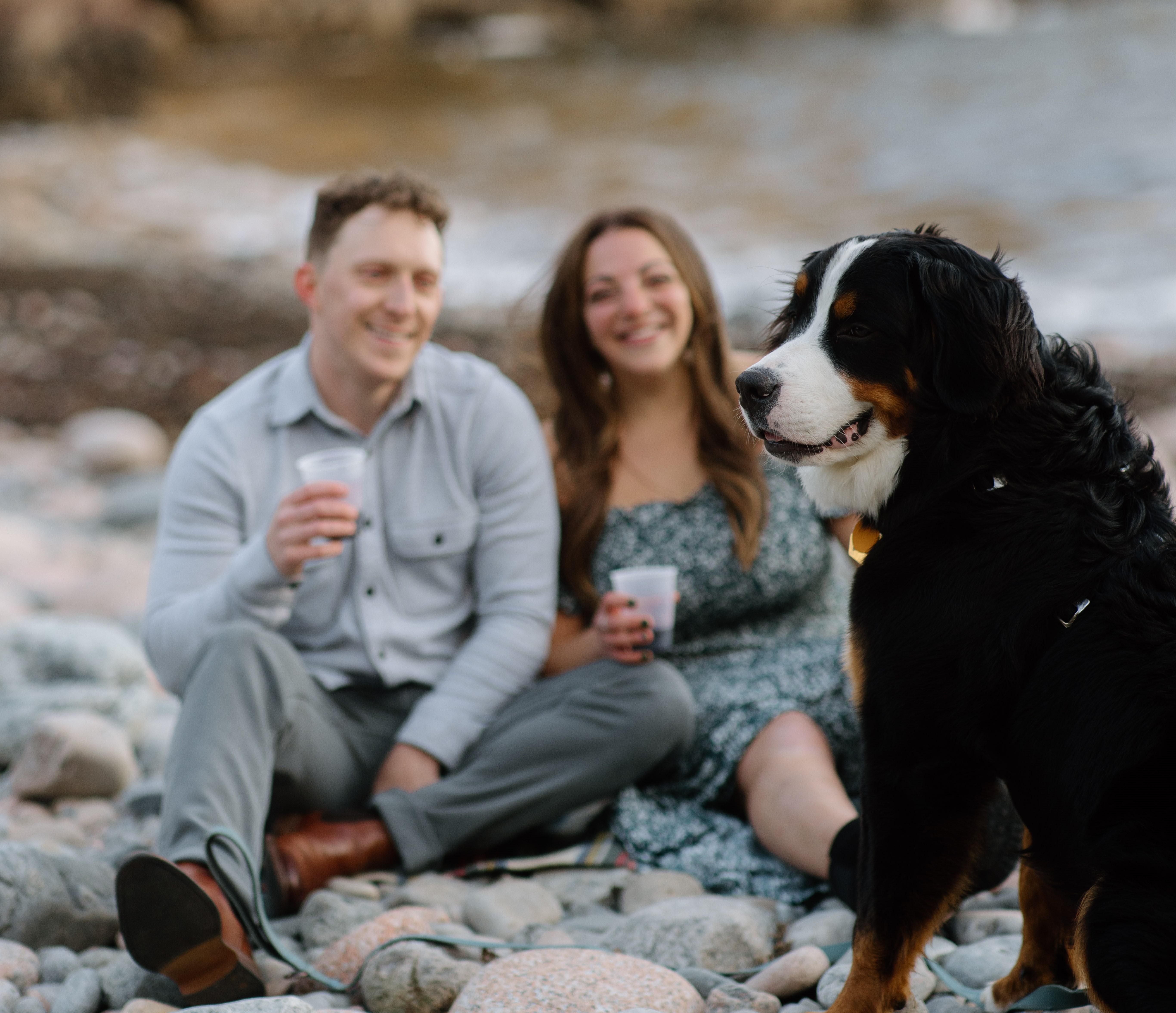 The Wedding Website of Erica Goldstein and Ryan Meunier