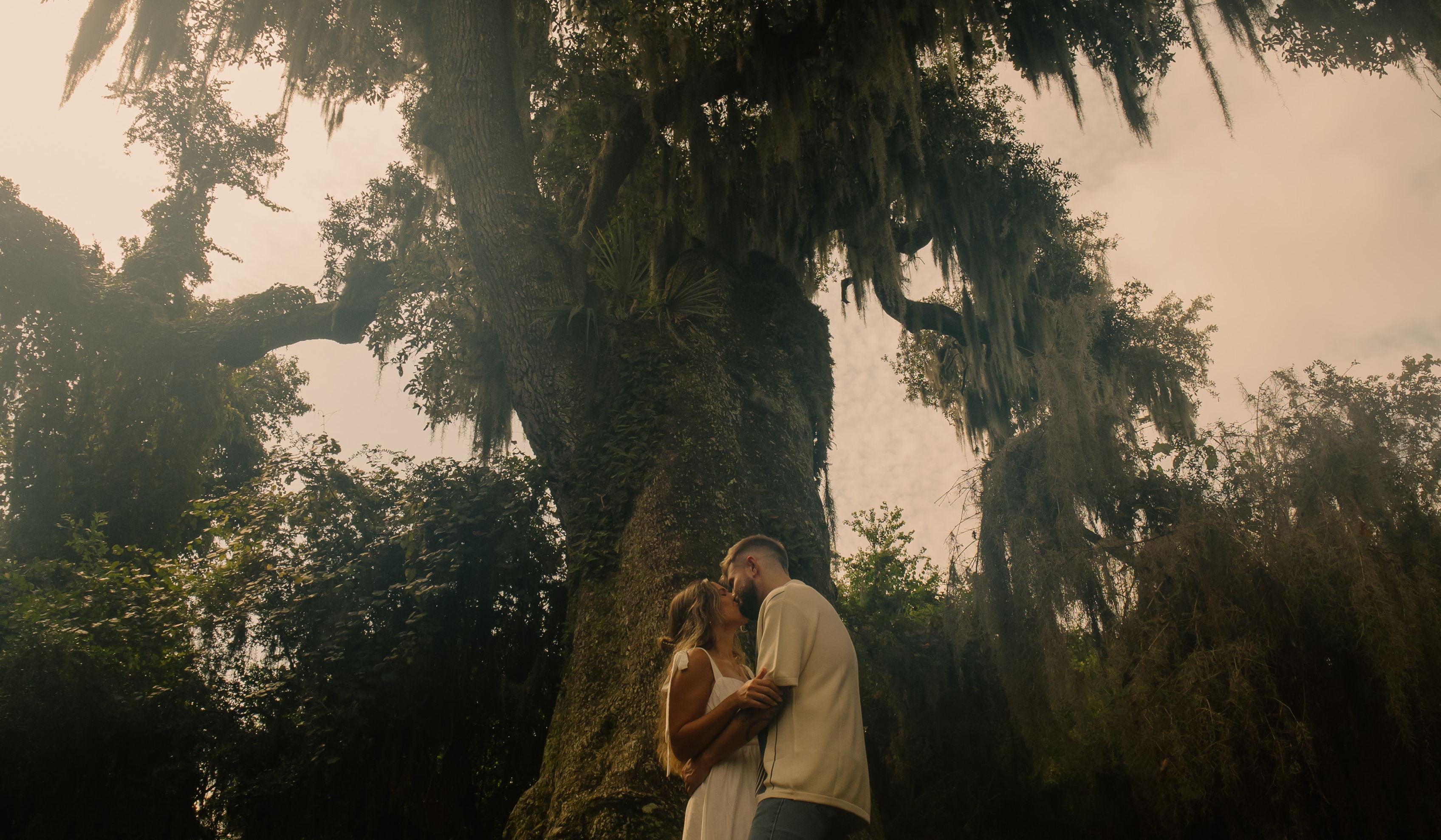 Hero Slideshow Image 3