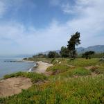 Carpinteria State Beach