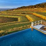 Barone di Villagrande winery