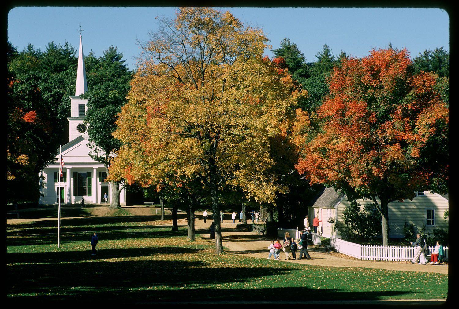 The Wedding Website of Abigail Bowman and James Smith