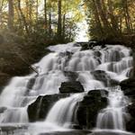 Vogel State Park