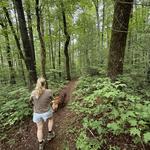 Highlands Hikes