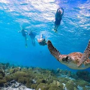 Honey moon snorkeling experience