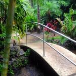 Florida Tech Botanical Garden