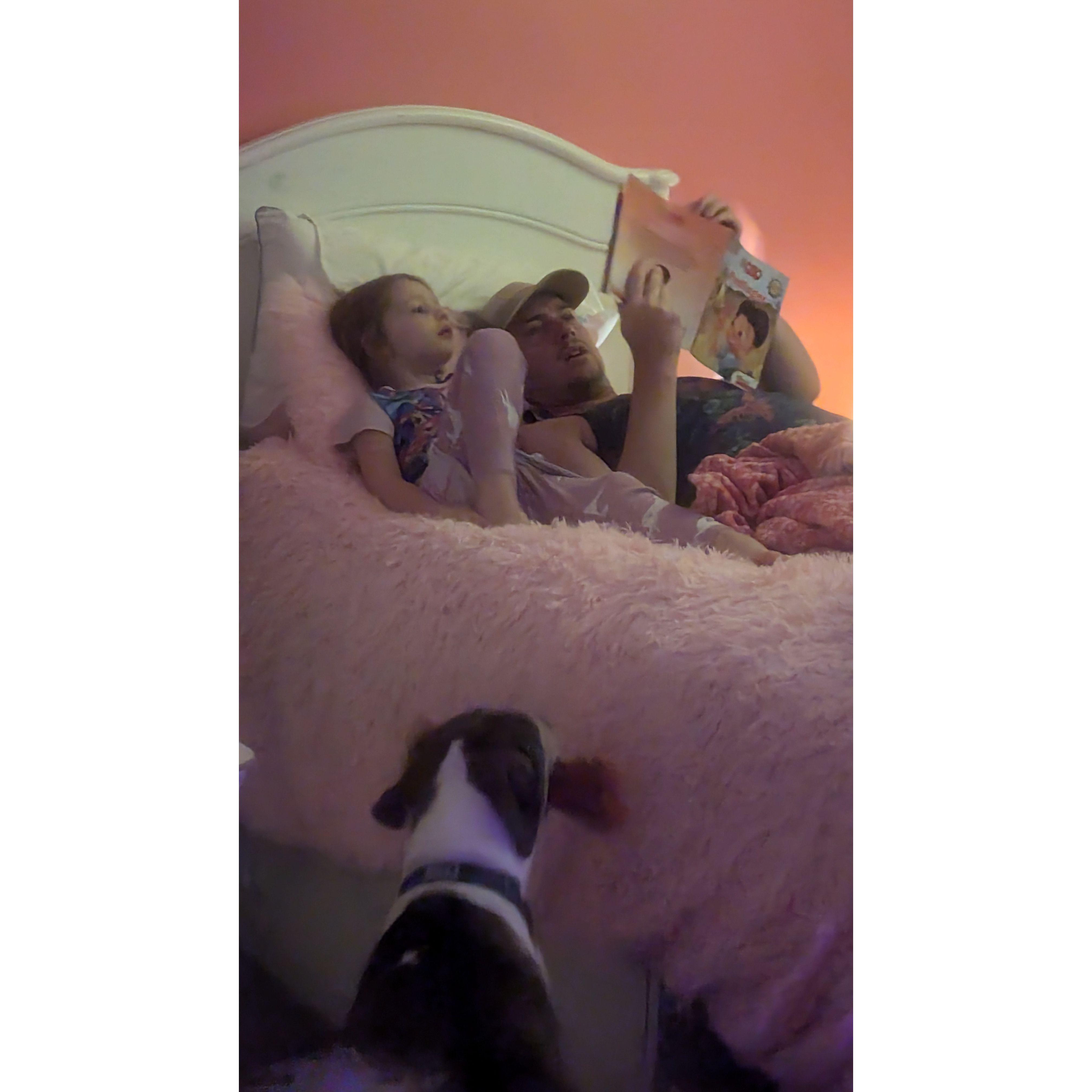 Bedtime Stories