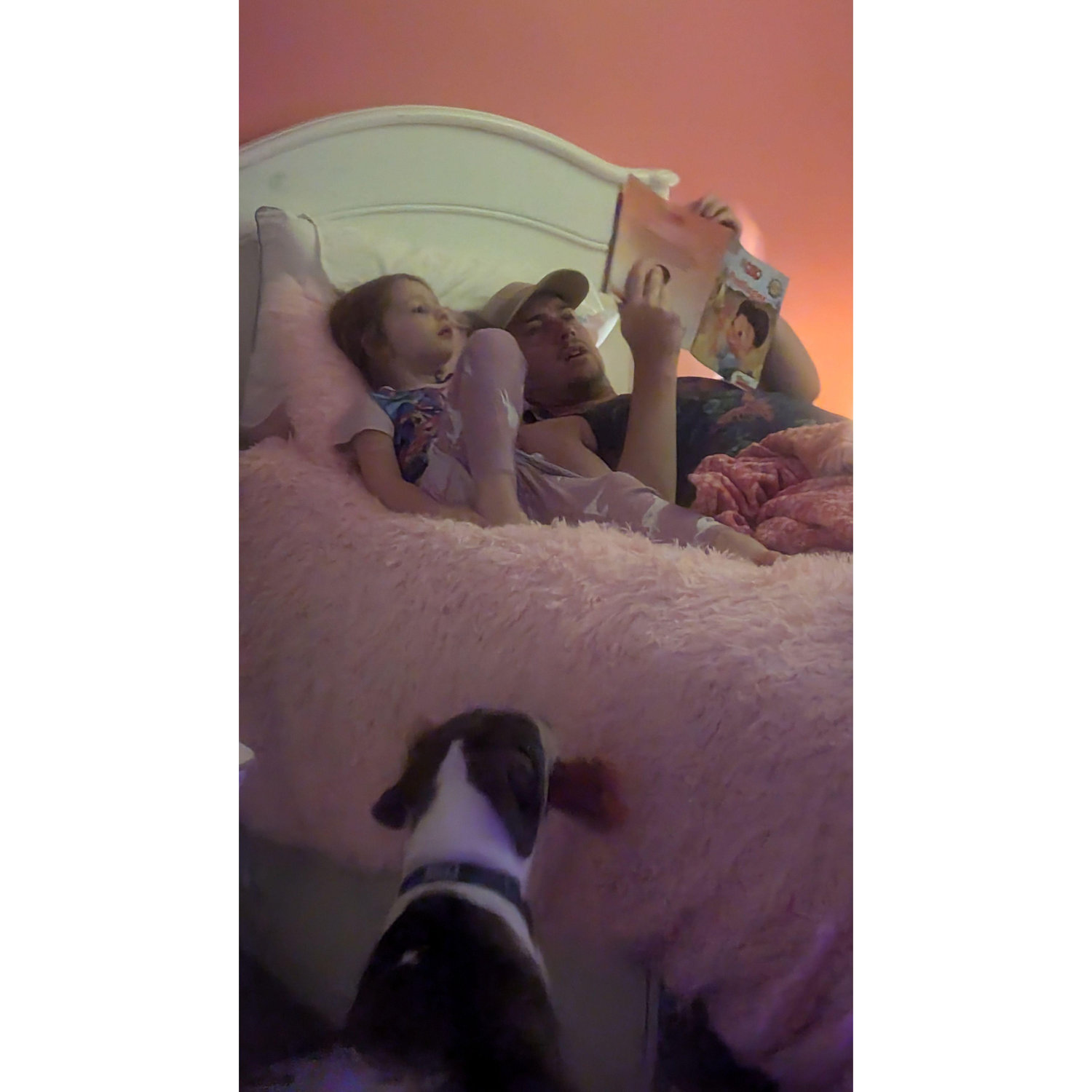 Bedtime Stories