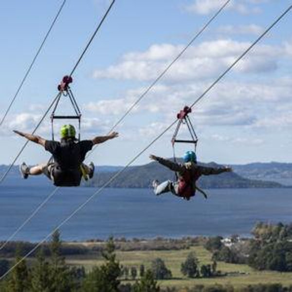 Skyline Rotorua Ziplining and Luge Rides for 2