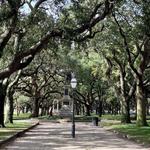 White Point Garden