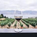 Wineries & Breweries