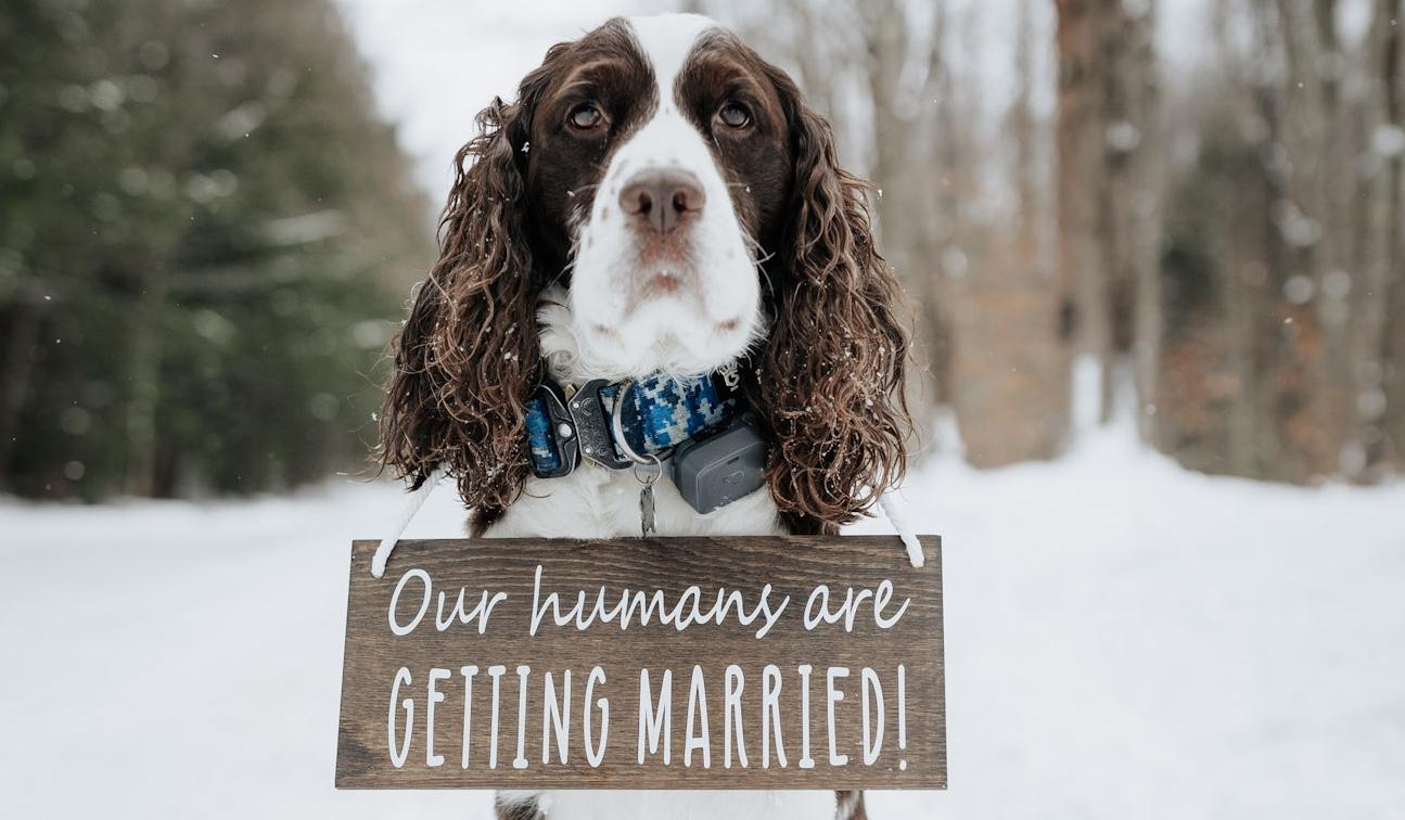 The Wedding Website of Sarah Purtill and Christopher Flor