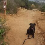 Cowles Mountain