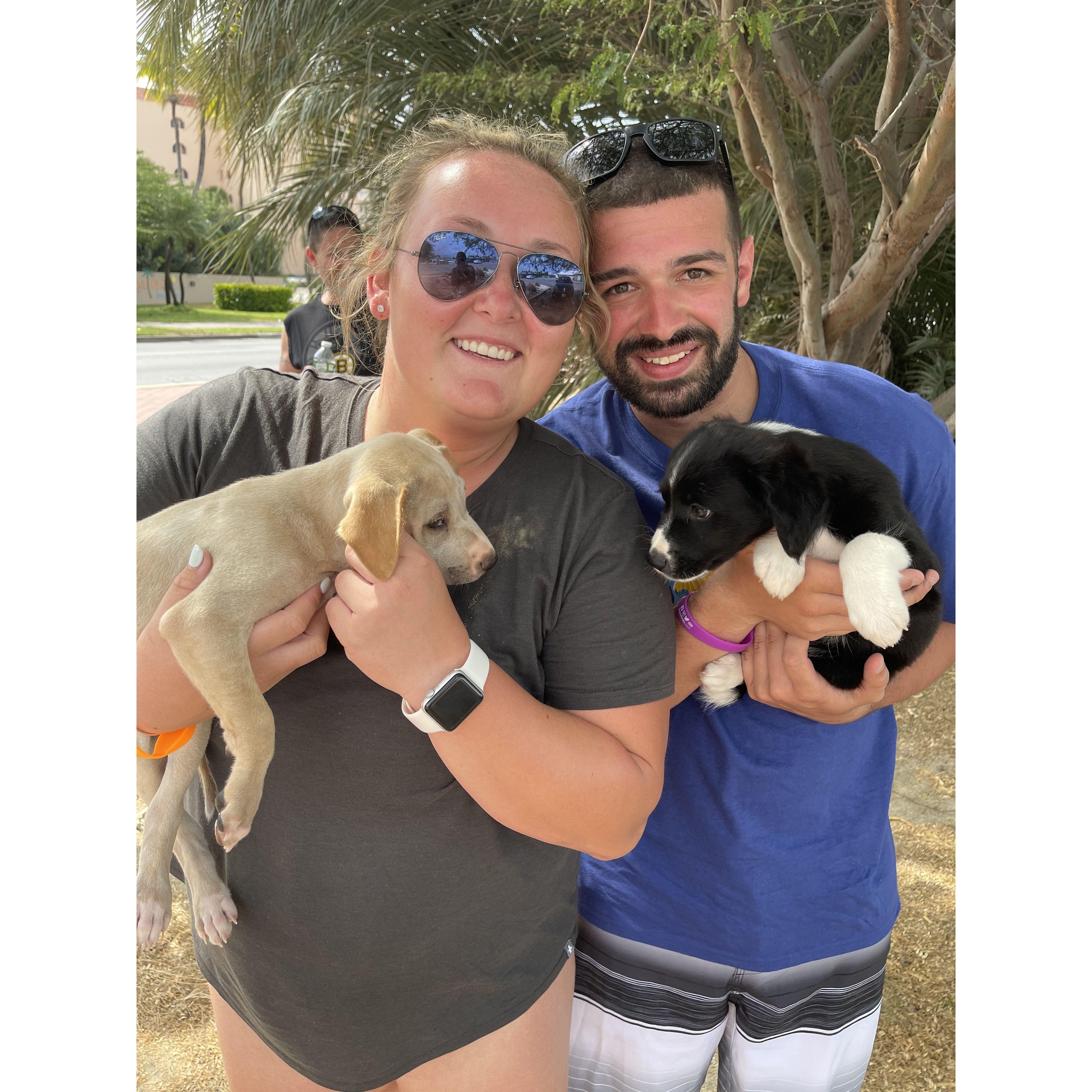 Our first trip to Aruba. When we met Bear our second fur baby