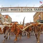 Fort Worth Stockyards Station