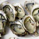 Henlopen City Oyster House
