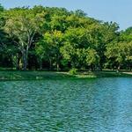 Towne Lake Recreation Area