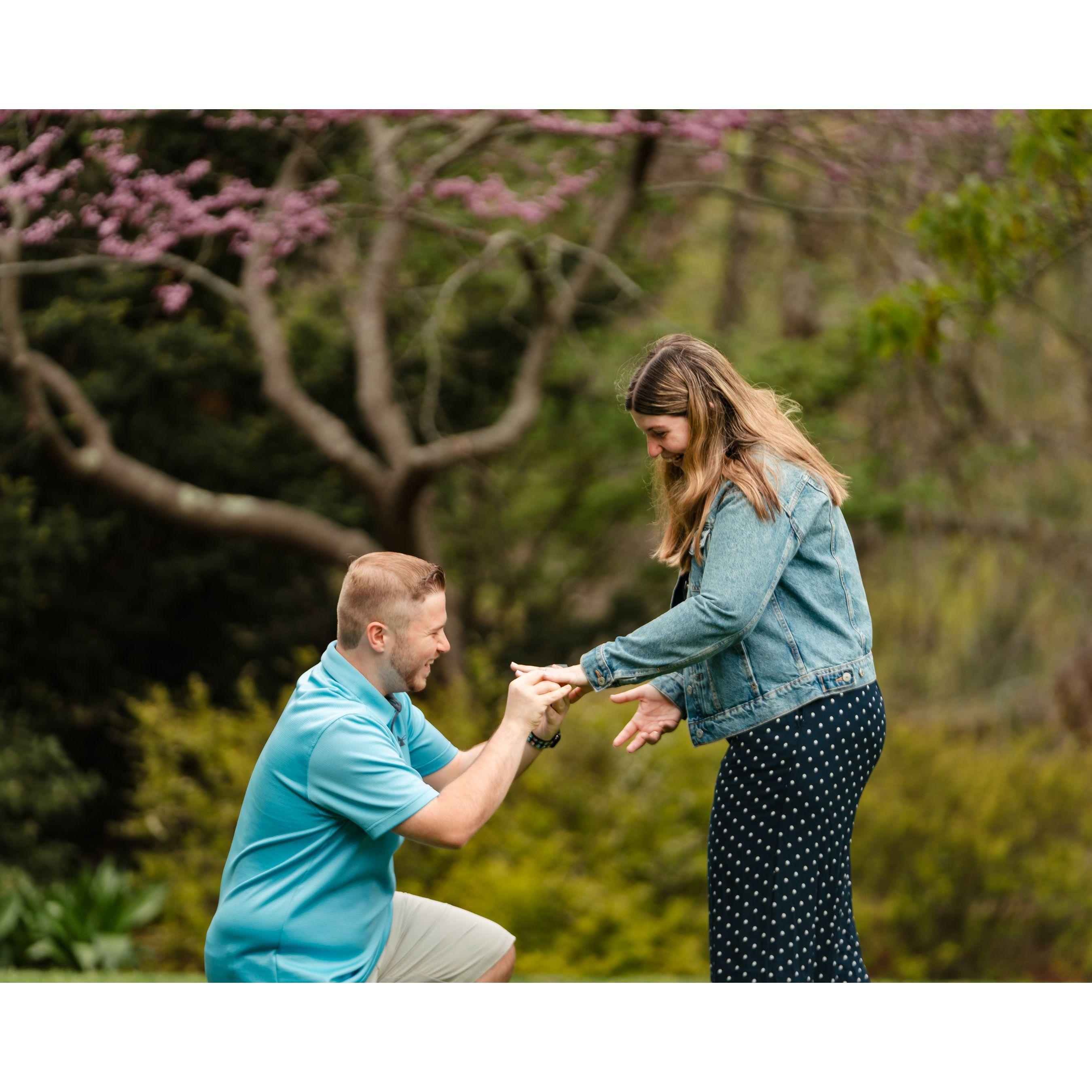 The proposal