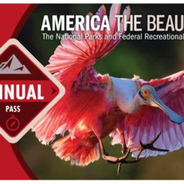 America the Beautiful Pass